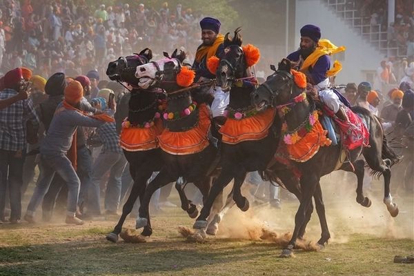 In Pics: Hola Mohalla - A Vibrant Sikh Festival Celebrated in Anandpur Sahib