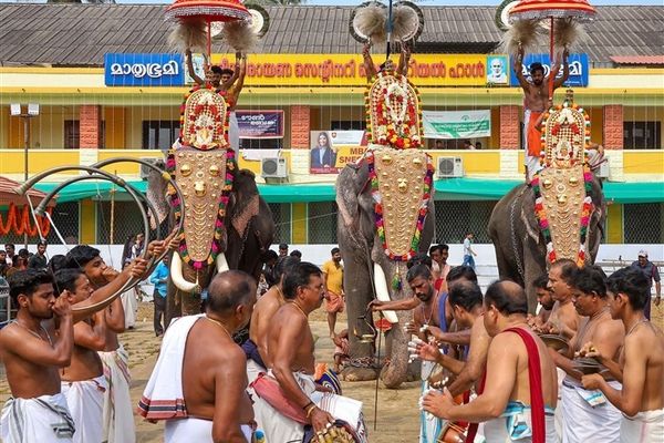 Significance of Elephants in Indian Culture: Exploring Through Images