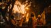 Kerala Power Alert: Possible Power Restrictions Likely in Four Districts for Seven Days