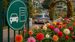 Driving to Ooty Flower Show? Avoid These Common Mistakes to Save Your Weekend