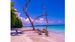 Planning a Trip to Andaman? Customized Tour Packages Are Transforming Island Tourism