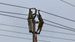 Mumbai Power Cut Today, July 12: Power Supply to Be Affected in Thane Rural, Diva, Kalwa and Other Areas