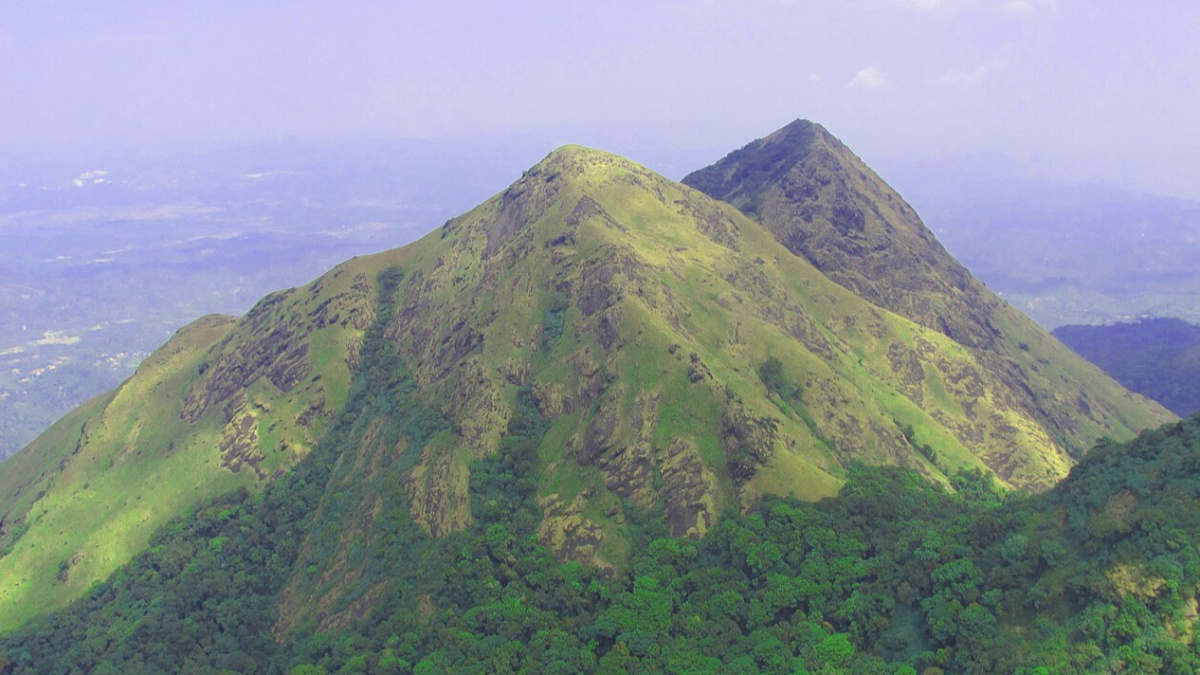 Chembra Peak  Entry Fee & Timings