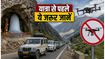 अमरनाथ यात्रा 2026: सुरक्षा के कड़े इंतजाम, नो-फ्लाई ज़ोन और नए ट्रैफिक नियम, जानें क्या है जरूरी