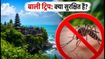 बाली ट्रिप पर ज़ीका वायरस का साया? जानें क्या है सच और भारतीय पर्यटकों के लिए जरूरी गाइड