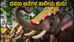 ಮೈಸೂರು ದಸರಾ ಆನೆಗಳ ತಾಲೀಮು ಶುರು: ಉಚಿತವಾಗಿ ವೀಕ್ಷಿಸಲು ಬೆಸ್ಟ್ ಸ್ಪಾಟ್ಗಳು ಮತ್ತು ಟಿಪ್ಸ್ ಮೈಸೂರು ದಸರಾ ಆನೆಗಳ ತಾಲೀಮು ಶುರು: ಉಚಿತವಾಗಿ ವೀಕ್ಷಿಸಲು ಬೆಸ್ಟ್ ಸ್ಪಾಟ್ಗಳು ಮತ್ತು ಟಿಪ್ಸ್