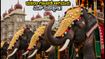 ಮೈಸೂರು ದಸರಾ ಗಜಪಡೆ ಆಗಮನ: ಅರಮನೆ ಪ್ರವೇಶದ ಅದ್ಭುತ ದೃಶ್ಯ ಕಣ್ತುಂಬಿಕೊಳ್ಳಲು ಇಲ್ಲಿವೆ ಬೆಸ್ಟ್ ಟಿಪ್ಸ್!