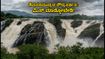 ಕಾವೇರಿ ಆರ್ಭಟ: ಶಿವನಸಮುದ್ರ ಜಲಪಾತದ ಸೌಂದರ್ಯ ಸವಿಯಲು ಹೋಗುವ ಮುನ್ನ ಈ ಎಚ್ಚರಿಕೆ ತಪ್ಪದೇ ಓದಿ!