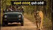 ಬಂಡೀಪುರ, ನಾಗರಹೊಳೆ ಸಫಾರಿ ದರ ಶೇ. 40ರಷ್ಟು ಏರಿಕೆ; ಹೊಸ ದರಪಟ್ಟಿ ಮತ್ತು ಬದಲಾದ ನಿಯಮಗಳ ಮಾಹಿತಿ ಇಲ್ಲಿದೆ