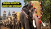 ಮೈಸೂರು ದಸರಾ ಗಜಪಡೆ ತಾಲೀಮು ಆರಂಭ: ಆನೆಗಳ ನಡಿಗೆಯನ್ನು ಹತ್ತಿರದಿಂದ ನೋಡಲು ಬೆಸ್ಟ್ ಟಿಪ್ಸ್ ಇಲ್ಲಿದೆ!