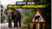 വയനാട്ടിൽ പോകാൻ പ്ലാൻ ഉണ്ടോ? കാട്ടാന ആക്രമണത്തെത്തുടർന്ന് ഈ കാര്യങ്ങൾ അറിയാതെ യാത്ര ചെയ്യരുത്, അപകടം പതിയിരിപ്പുണ്ട്!