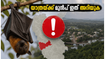 വയനാട് യാത്ര പ്ലാൻ ചെയ്യുന്നവർ ശ്രദ്ധിക്കുക; നിപ ജാഗ്രതയിൽ റൂട്ടുകൾ മാറി, സുരക്ഷാ നിർദ്ദേശങ്ങൾ ഇങ്ങനെ