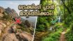 ബെംഗളൂരു ട്രെക്കിംഗ്: അരണ്യ വിഹാരയിൽ സ്ലോട്ടുകൾ തീർന്നു; പെർമിറ്റ് ഇല്ലാതെ പോകാൻ പറ്റിയ സ്ഥലങ്ങൾ ഇതാ!