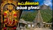 ஆடி மாதம் அம்மன் தரிசனம்: கூட்ட நெரிசல் இல்லாமல் கோவில்களுக்குச் செல்ல TTDC-யின் சூப்பர் பிளான்! ஆடி மாதம் அம்மன் தரிசனம்: கூட்ட நெரிசல் இல்லாமல் கோவில்களுக்குச் செல்ல TTDC-யின் சூப்பர் பிளான்!