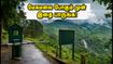 மேகமலைக்கு கிளம்புறீங்களா? ஆகஸ்ட் 24-ல் வனத்துறை விதித்துள்ள புதிய கட்டுப்பாடுகள் மற்றும் செக்போஸ்ட் நேரங்கள் இதோ! மேகமலைக்கு கிளம்புறீங்களா? ஆகஸ்ட் 24-ல் வனத்துறை விதித்துள்ள புதிய கட்டுப்பாடுகள் மற்றும் செக்போஸ்ட் நேரங்கள் இதோ!