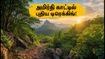 சென்னைவாசிகளே ரெடியா? வேலூர் அமிர்தி காட்டில் புதிய டிரெக்கிங் பாதை - இந்த வாரமே கிளம்பலாம்!
