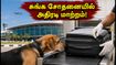 சென்னை விமான நிலையத்தில் அதிரடி சுங்க சோதனை.. சர்வதேச பயணிகள் கவனத்திற்கு! தாமதத்தைத் தவிர்க்க இதோ டிப்ஸ் சென்னை விமான நிலையத்தில் அதிரடி சுங்க சோதனை.. சர்வதேச பயணிகள் கவனத்திற்கு! தாமதத்தைத் தவிர்க்க இதோ டிப்ஸ்
