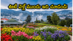 ఊటీ ఫ్లవర్ షోకు వెళ్తున్నారా? ఈ-పాస్, ట్రాఫిక్ రూల్స్ తెలియకపోతే మీ ట్రిప్ పాడవ్వడం ఖాయం!
