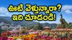 ఊటీ ఫ్లవర్ షో మొదలైంది.. ట్రాఫిక్ ఇబ్బందులు లేకుండా పర్యాటకులు ఈ రూట్లలో వెళ్తేనే బెస్ట్!