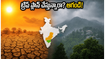 వీకెండ్ ట్రిప్ ప్లాన్ చేస్తున్నారా? అరకు, ఊటీ, నంది హిల్స్ వెళ్లే పర్యాటకులకు వాతావరణ శాఖ కీలక హెచ్చరిక!