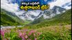 వ్యాలీ ఆఫ్ ఫ్లవర్స్ అందాలను చూడాలా? తక్కువ బడ్జెట్‌లో ఉత్తరాఖండ్ ట్రిప్ ప్లాన్ ఇలా చేయండి!