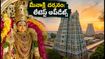 మదురై మీనాక్షి అమ్మవారి దర్శనానికి వెళ్తున్నారా? కుంభాభిషేకం తర్వాత రూల్స్, ట్రాఫిక్, దర్శన సమయాల పూర్తి వివరాలు ఇవే!