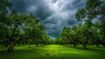 Unforgettable Monsoon Escapes: Top Hill Stations In South India To Enjoy Rains