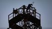 Bhopal Power Cut On May 11: Over 45 Areas To Face Scheduled Electricity Outage Due To Maintenance Work