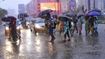 Kerala Weather Update: Heavy Rain Likely to Continue Across State; Yellow Alert Issued in Multiple Districts