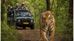 Bandipur and Nagarahole Safaris Reopen: Why Bengaluru Travelers Are Rushing to Book July Slots