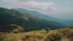 Chilly Escapes Near Hyderabad: Scenic Getaways That Feel Far Away From City Life