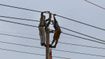 Delhi Power Cut on June 25: BRPL, TPDDL Announce Scheduled Outages Across Multiple Areas; Check Timings