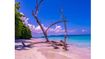 Planning a Trip to Andaman? Customized Tour Packages Are Transforming Island Tourism