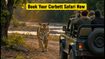 Jim Corbett Night-Stay Bookings Open: Secure Your Winter Safari Slot Before They Vanish