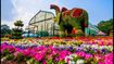 Lalbagh Flower Show Ends Today: Essential Tips to Beat Crowds and Traffic