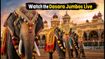 Mysuru Dasara 2026: Insider Tips for Watching Elephant Drills and Palace Illumination
