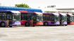 Tamil Nadu Special Buses for Independence Day: The TN Government will Operate 2040 Buses from 14 to 16 August