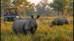 Kaziranga National Park Reopens Today: Everything You Need to Know for Your 2026 Jeep Safari Adventure