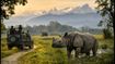 Manas National Park Reopens Today: Essential Guide to Safari Slots, Entry Gates, and 2026 Travel Tips