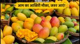 https://hindi.nativeplanet.com/img/158x/2026/07/delhi-mango-festival-2026-last-chance-to-taste-rare-varieties_1200x675_1783347746685_.jpg
