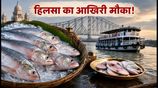 https://hindi.nativeplanet.com/img/158x/2026/08/kolkata-hilsa-fish-guide-2026-best-restaurants-market-prices_1200x675_1786888979042_.jpg