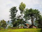 Nagaland : Five Best Places to Visit 