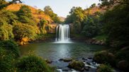 Monsoon Adventures: Top 6 Safe and Scenic Waterfalls Near Bengaluru