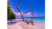 Planning a Trip to Andaman? Customized Tour Packages Are Transforming Island Tourism