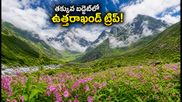 వ్యాలీ ఆఫ్ ఫ్లవర్స్ అందాలను చూడాలా? తక్కువ బడ్జెట్‌లో ఉత్తరాఖండ్ ట్రిప్ ప్లాన్ ఇలా చేయండి!