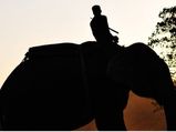 National Park Tours of North East India