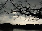 World Picnic Day 2021: Five Popular Picnic Places of Karnataka 