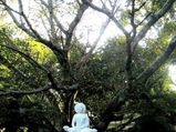 The Unexplored Bangalore