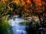 Unexplored Sanctuaries of Rajasthan