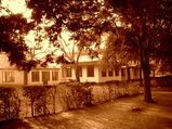 Teacher's Day 2021: S. Radhakrishnan - En route to Eminence